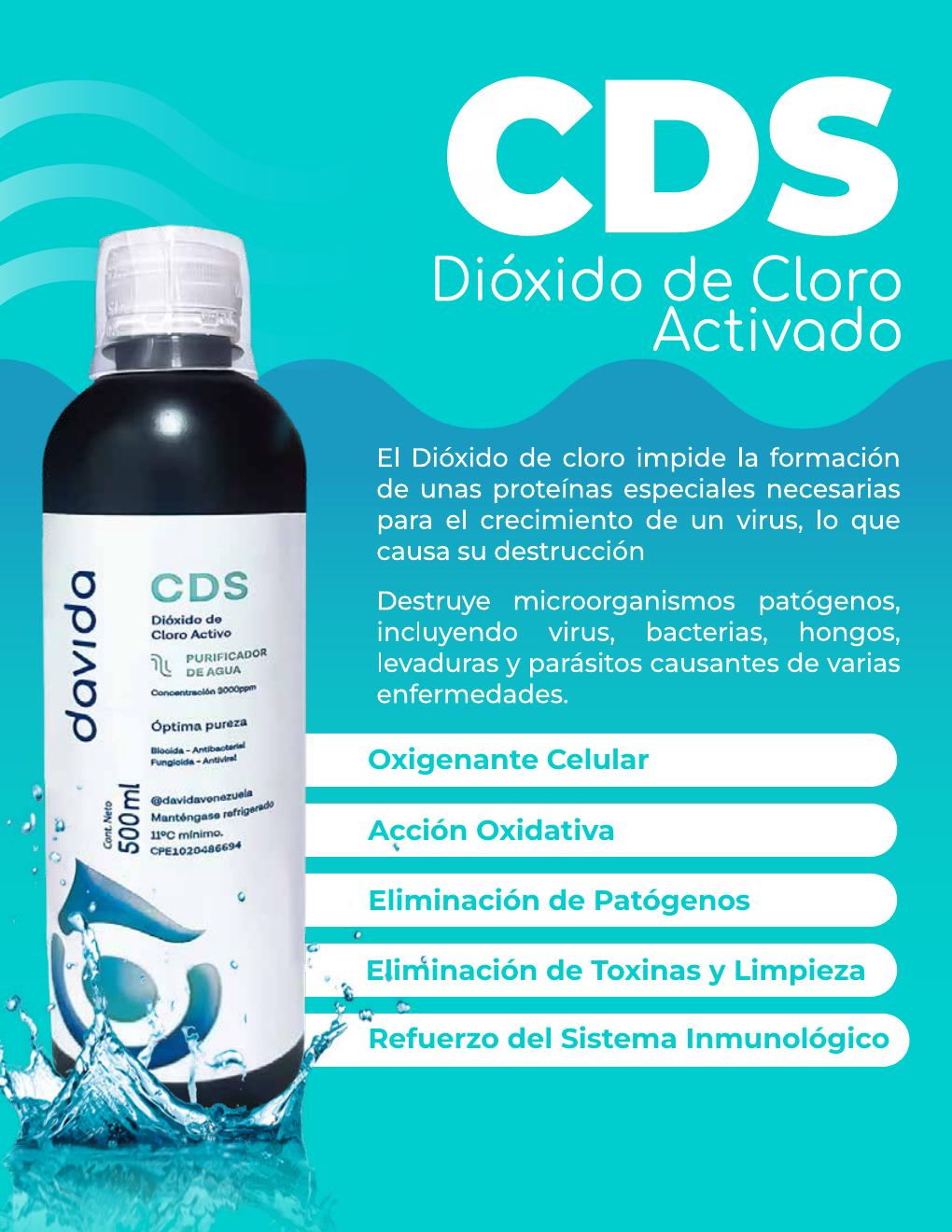 Diseño de catálogo de CDS