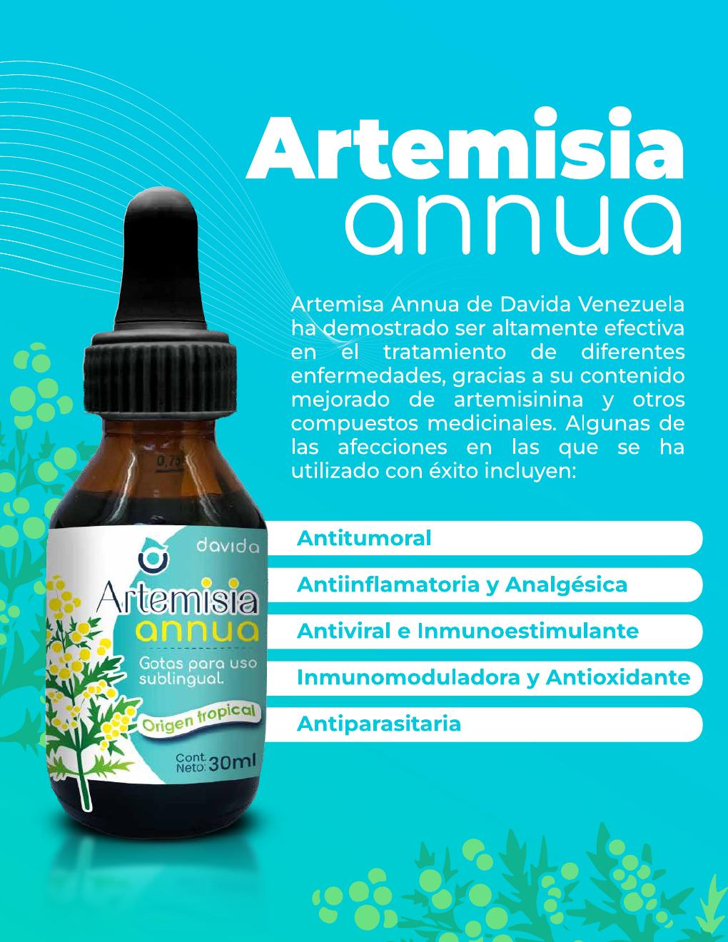 Diseño de catálogo de Artemisia annua